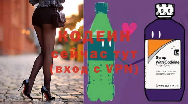 прущий лед Алзамай