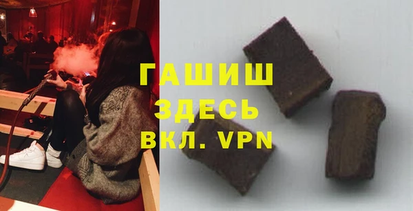 индика Грязовец