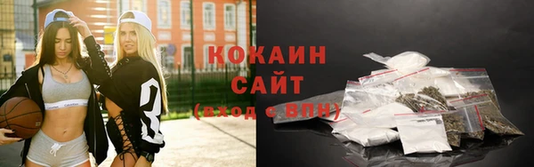 прущий лед Алзамай