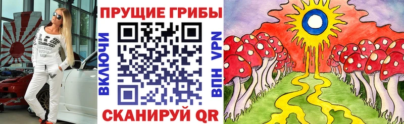 закладки  Калтан  Галлюциногенные грибы Cubensis 